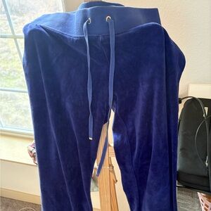 Juicy Couture Royal Purple/Blue Velour Garment